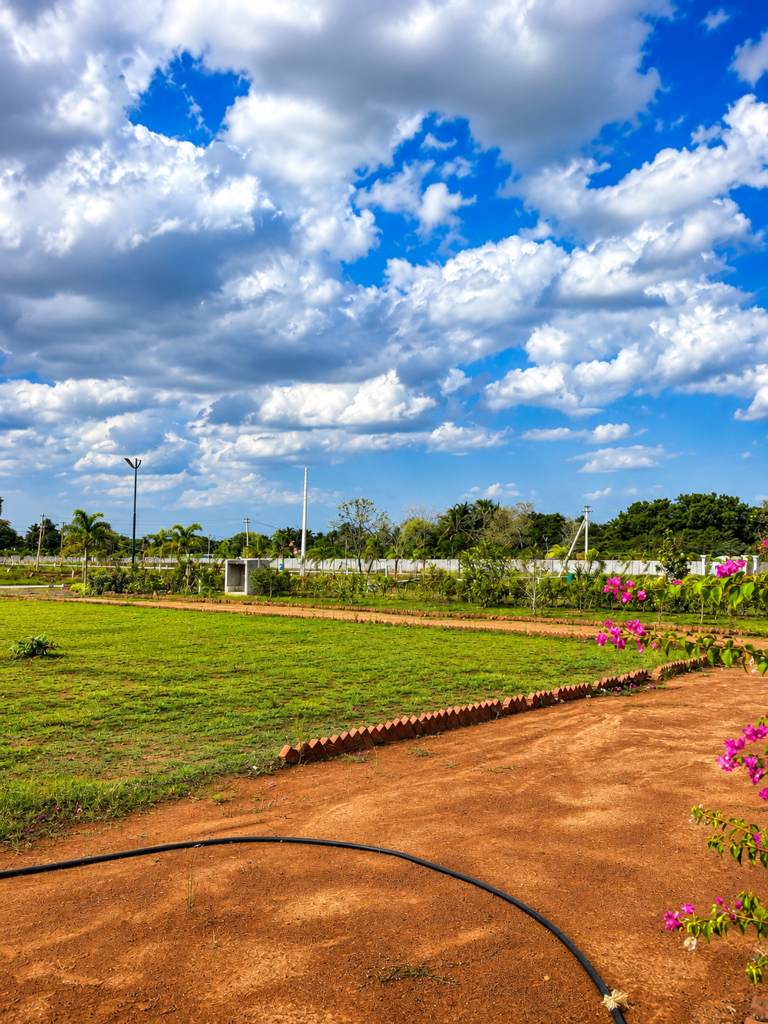 Garden pergola amenity